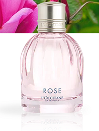 Eau de Toilette Rose 50 ml