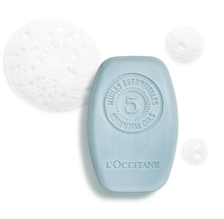 Shampoing Solide Fraîcheur Purifiante 60 g
