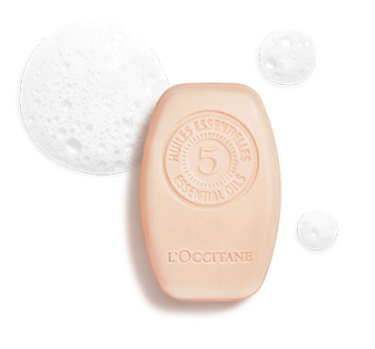 Shampoing Solide réparation Intense 60 g