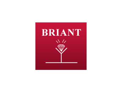Logo de Bijouterie Briant