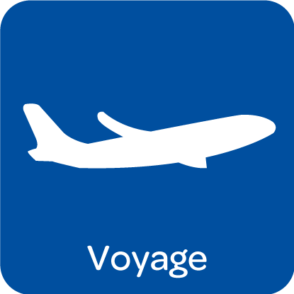 carrefour voyages salaise