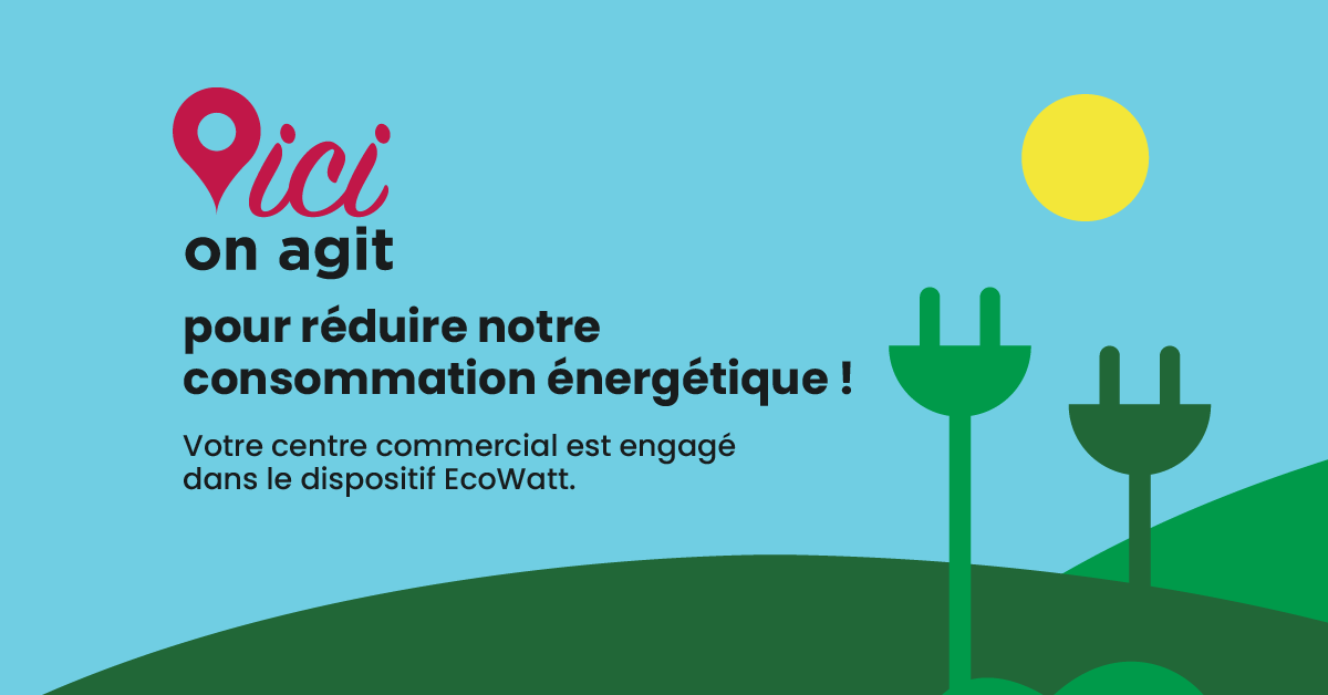 Ecowatt Centre Commercial Carrefour