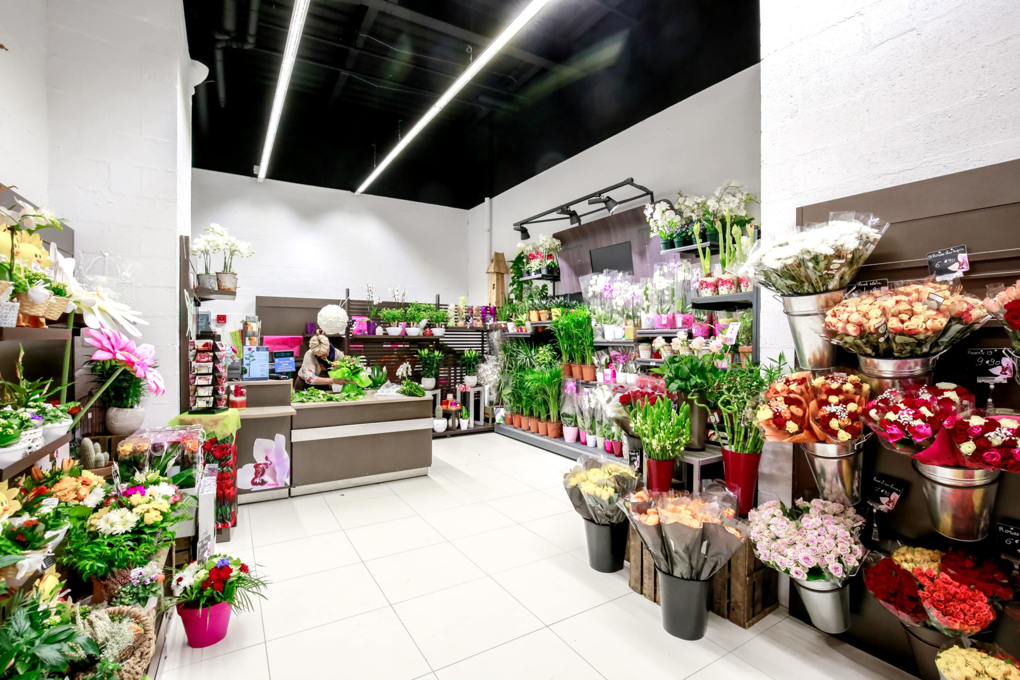 Carrefour Fleurs - Centre commercial Carrefour Grand Evreux