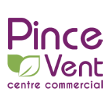 Centre Commercial Carrefour Pince-Vent