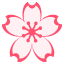 cherry blossom