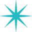 eight spoked asterisk