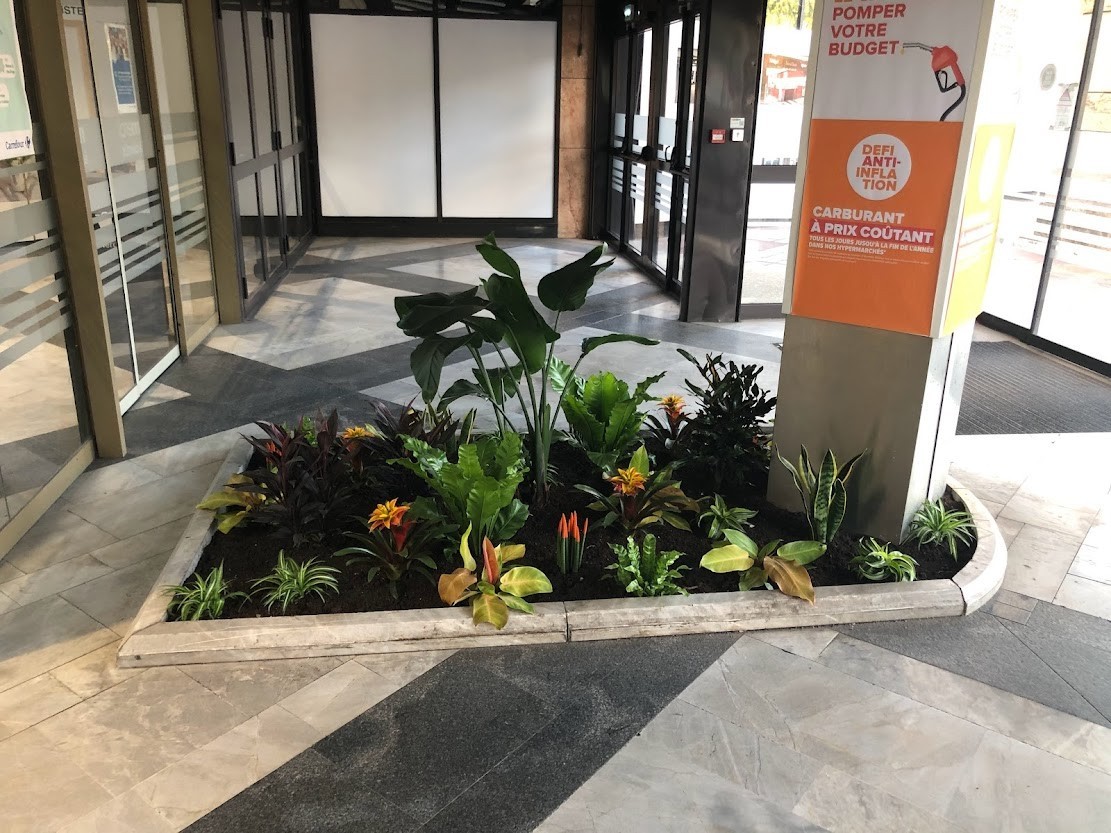 Centre Commercial Carrefour Francheville